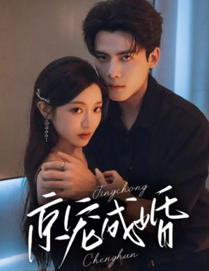 京宠成婚（79集）陈刚＆陈辞