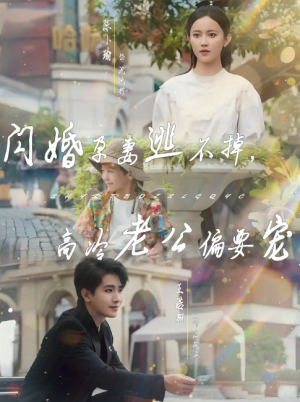 闪婚孕妻逃不掉，高冷老公偏要宠（78集）王浩翔＆陈小瑜