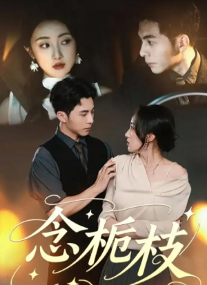 念栀枝（81集）李可乐＆海依凡